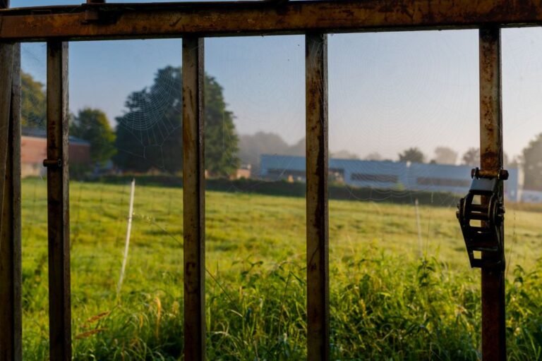 farm gate field