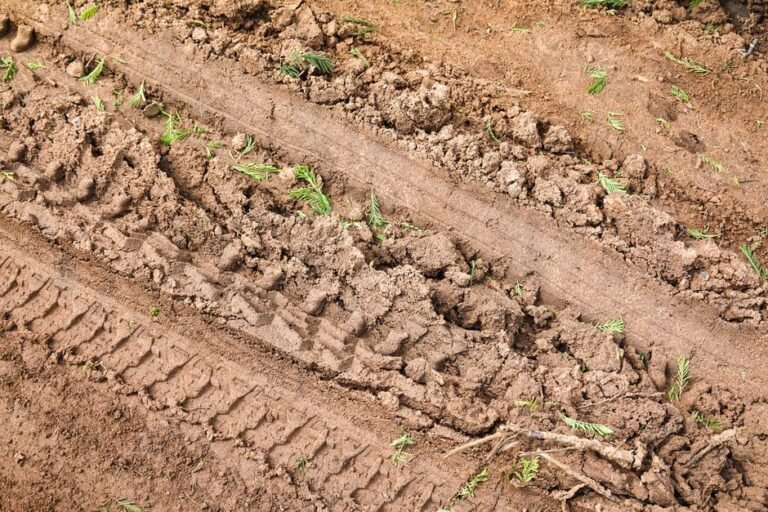 muddy farm track