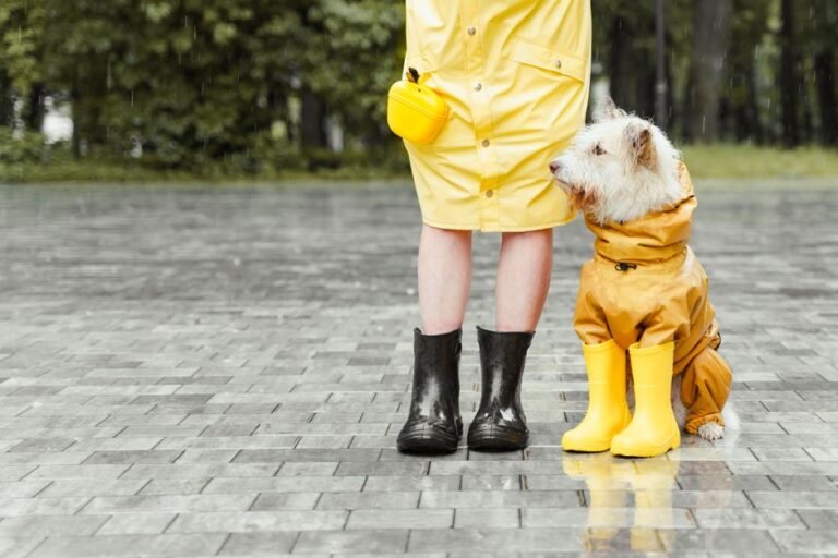 waterproof trousers rain