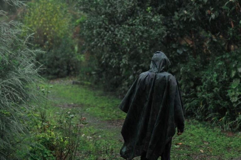 rain country path