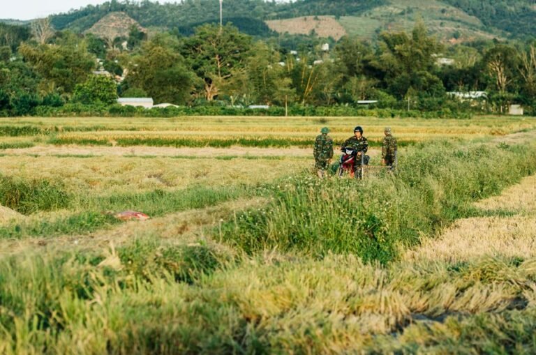 farmer field conversation