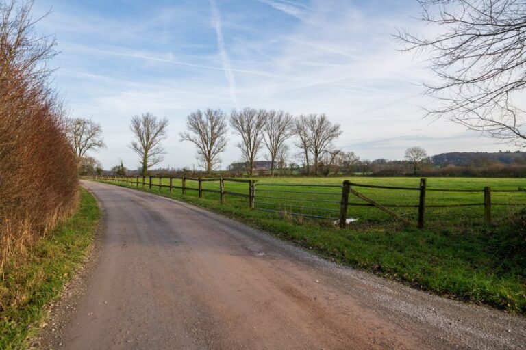 hedgerow farm track