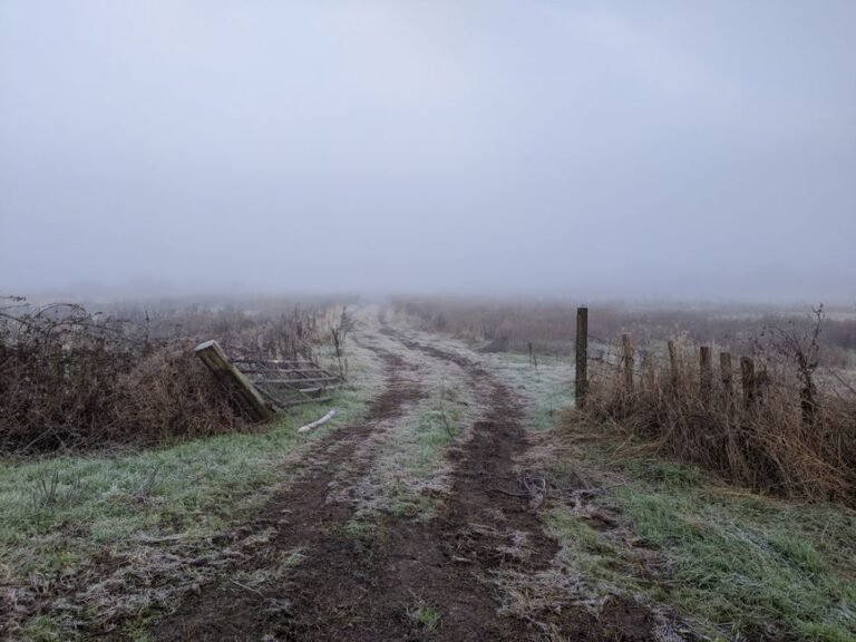 short muddy footpath
